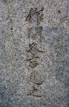 �v�g