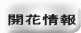 開花情報