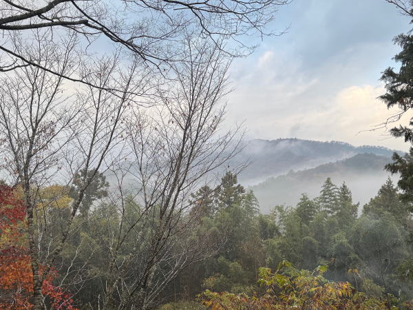 MARUTAのＭＥＮＵ
