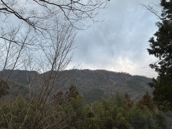 MARUTAのＭＥＮＵ
