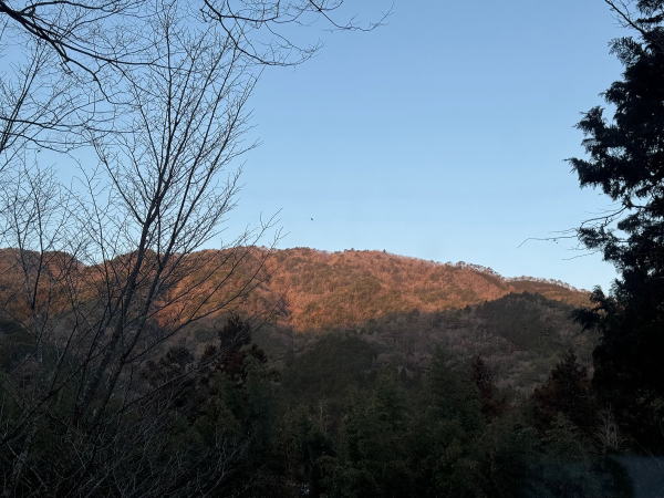 MARUTAのＭＥＮＵ
