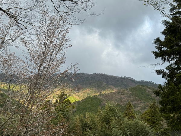 MARUTAのＭＥＮＵ
