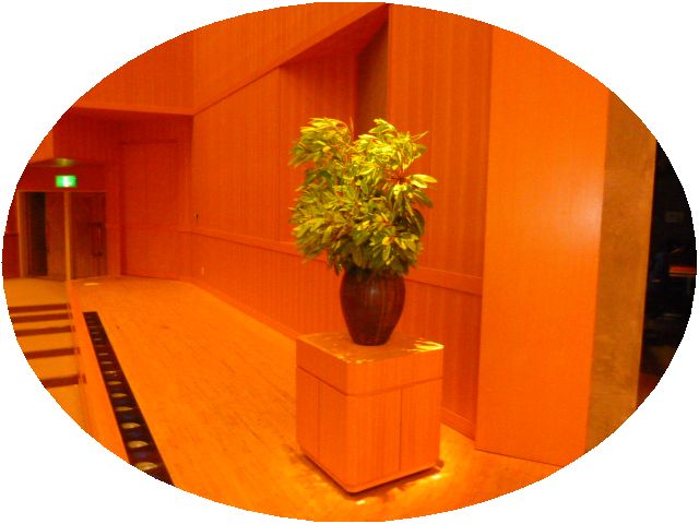 䂸tEE