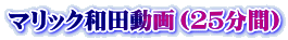 マリック和田動画（２５分間）